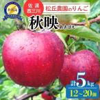 りんご 秋映 5kg