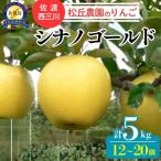 りんご シナノゴールド 5kg