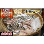 ふるさと納税 特選干物セット【干物 干もの ひもの 冷凍 詰め合わせ 詰合せ セット 特選 旬 季節 地場産品 ご当地 おまかせ ギフト お歳暮 お.. 鳥取県日吉津村