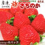 濃厚苺 さちのか 250g×6パック