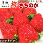 濃厚苺 さちのか 250g×8パック