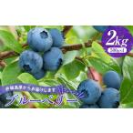 赤城高原で育ったフレッシュなブルーベリー 2kg