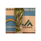 JAなめがたしおさい あさがお菜 クウシンサイ 100g×20袋入