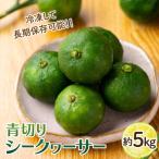 シークワーサー 約5kg