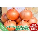 fu.... налог большой земля. ..! Awaji Island. .. шар лук порей [ Charlotte oni on блестящий шар (kila шар )]10kg[6 месяц средний . из рассылка ] Hyogo префектура юг ... город 