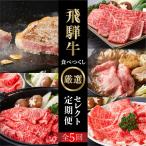 定期便 5回 飛騨牛 食べつくし厳選 牛肉 だるまミート