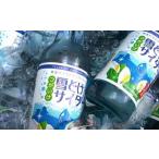雪どけサイダー20本セット 340ml×20本