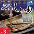 子持カラフトししゃも 3kg