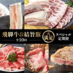 飛騨牛&結旨豚 スペシャル 定期便 だるまミート