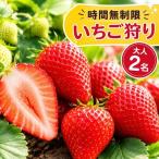 いちご狩り体験チケット 入園券大人2名