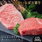 628.鳥取 いなば万葉牛 シャトーブリアン