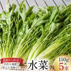 水菜 150g×5束