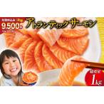 ふるさと納税 ノルウェー産 アトランティックサーモン 総重量800g(正味重量680g) / カネダイ / 宮城県 気仙沼市 [20561967] 魚 魚介類 サーモ.. 宮城県気仙沼市