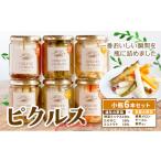 ピクルス 小瓶 6本セット 野菜 酢漬け 漬物