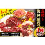 馬刺し 復興福袋4種セット