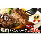馬肉ハンバーグ 16個セット 千興ファーム