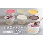 自家製ジェラート12個セット