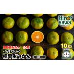 極早生 みかん 10kg