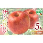 りんご サンふじ 訳あり 5kg