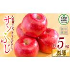 りんご サンつがる 秀 5kg