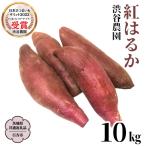 2025年度産 紅はるか 約10kg