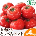 有機JASとっぺんトマト 約4kg