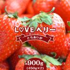 LOVE ベリー とちあいか 900g