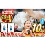 ふるさと納税 《 新米先行予約 》2025年10月より順次発送 森のくまさん 無洗米 10kg【有限会社 農産ベストパートナー】お米 コメ 熊本 特A 精.. 熊本県山鹿市