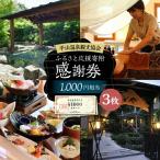 平山温泉 観光協会 ふるさと応援寄附 感謝券