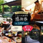 平山温泉 観光協会ふるさと応援寄附 感謝券