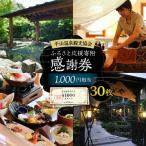 平山温泉 観光協会ふるさと応援寄附 感謝券