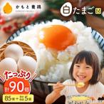 赤たまごM玉卵90個 85個+5個割れ保証