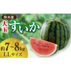 大玉 すいか LLサイズ