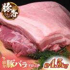 豚帝 豚バラ ブロック 半頭分 約4.5kg