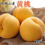 黄桃 つきあかり ゆめおうみ 約2kg