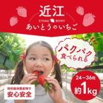 ふるさと納税 いちご 苺 あいとうイチゴ 24粒〜36粒 章姫 紅ほっぺ よつぼし かおり野 A-E39　あいとうマーガレットステーション 東近江 滋賀県東近江市