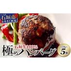 石垣牛 100% 極めハンバーグ 150g×5個