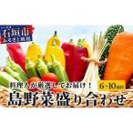 料理人が厳選した島野菜盛り合わせ 6~10品目
