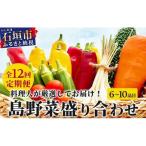 料理人が厳選した島野菜 6~10品目×12回