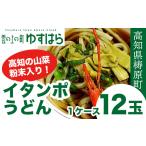 イタンポうどん 12玉セット