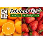 産みかん約2kg&イチゴ セット いちご