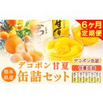 デコポン 甘夏缶詰セット計10缶入り あしきた農業協同組合