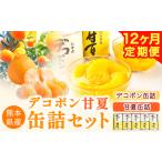 デコポン 甘夏缶詰セット計10缶入り あしきた農業協同組合