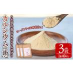 ふるさと納税 カルシウムの恵(計120g・40g×3袋)サプリ 粉末 便利 うなぎ ウナギ 国産 骨 骨密度 タンパク質 コンドロイチン 天然コエンザイ.. 宮崎県門川町