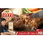 ハンバーグ 5個入