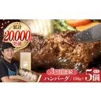 ハンバーグ 5個入