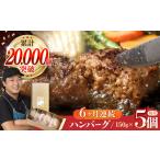 ハンバーグ 5個入