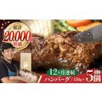 ハンバーグ 5個入