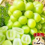 シャインマスカット 約2kg