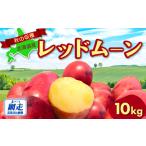 ふるさと納税 【先行予約】秋の収穫美味レッドムーンじゃがいも 10kg（2026年9月15日以降発送） ABAO071 北海道網走市